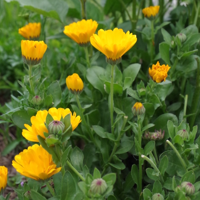 thumb_IMGP9427_1024 - copie